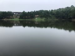 -南京市无想山景区