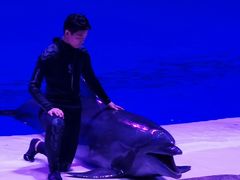 -华夏文旅海洋公园