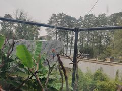 -武汉动物园