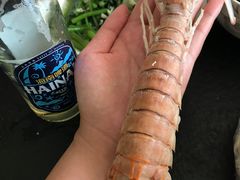 -三亚新鸿港水果一级批发市场