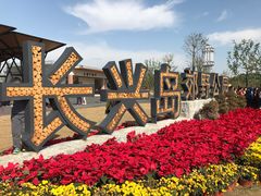 -上海长兴岛郊野公园