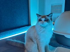 -零纪元VR体验馆·桌游(黄浦店)