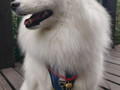 -树山生态村