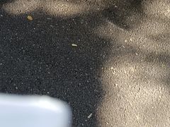 -天宁寺