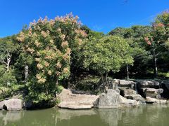 -宁波野生动物园