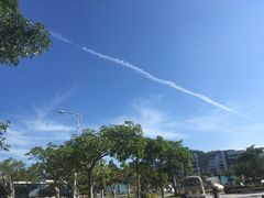 -顺则昌推按正骨理疗