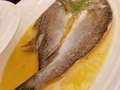 -全聚德(常州店)