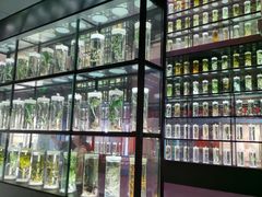 -广东中医药博物馆