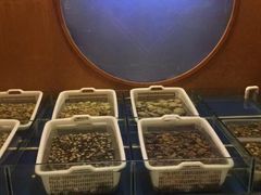 -南京维景国际大酒店咖啡厅