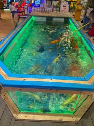 点击看大图 -卡通尼·Safari非洲探索乐园·生日会(金桥国际商业广场店)