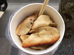 -洋洋锅贴