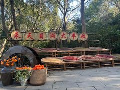 -天目湖山水园