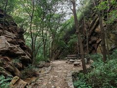-大岭沟猕猴桃谷风景区