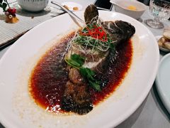 清蒸老虎斑-南景饭店(万家丽路店)