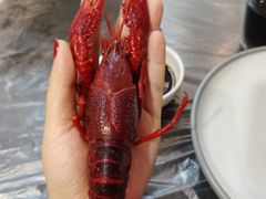 -指爱龙虾(金杨路总店)