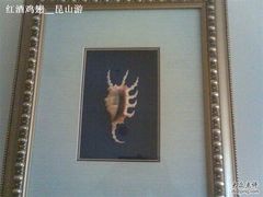 -三亚亚龙湾金棕榈度假酒店