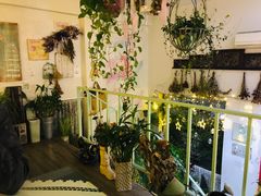 -Jo's Garden