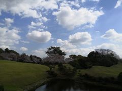 -水前寺成趣园