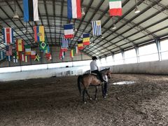 -月河湾马术俱乐部(朝阳店)