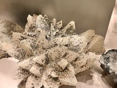 -中国地质博物馆