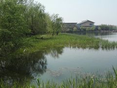 -溱湖国家湿地公园