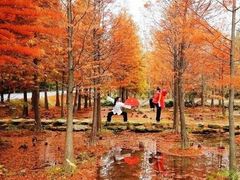 -南京市无想山景区