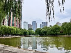 -团结湖公园