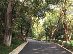 -龟山风景区-龟山电视塔