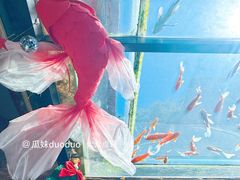 -16毫米咖啡&酒吧(南锣鼓巷店)