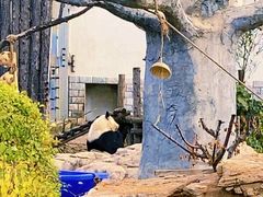 -大青山野生动物园