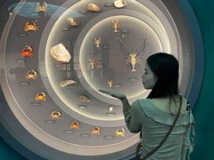 -中国湿地博物馆
