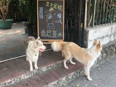 -豆舞咖啡(民乐路店)