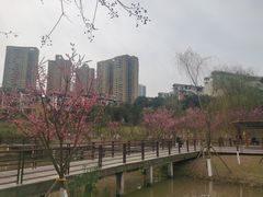 -沐仙湖湿地公园