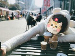 -% Arabica阿拉比卡咖啡烘焙工坊