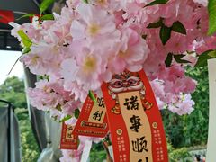 -广州市白云山风景名胜区
