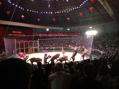 -西安秦岭野生动物园