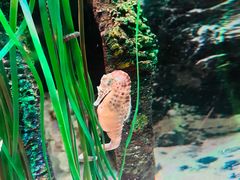 -沈阳海洋探索中心