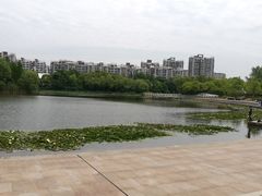 -新江湾城公园