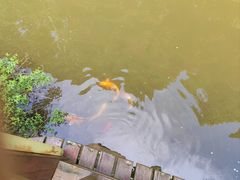-上海怡沁园度假酒店