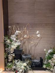 -恒美雅轩·品牌直营连锁