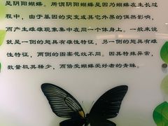 -上海昆虫博物馆