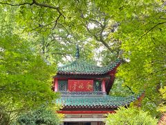 -岳麓山风景名胜区