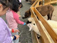 -HERRE·FARM 赫尔露营农场·团建聚会包场