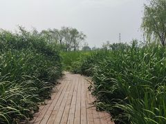 -永定河休闲森林公园