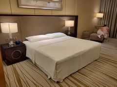 -廊坊固安福朋喜来登酒店