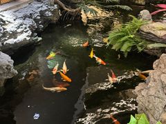 -广州白天鹅宾馆