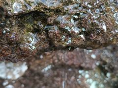 -雁荡山灵岩景区