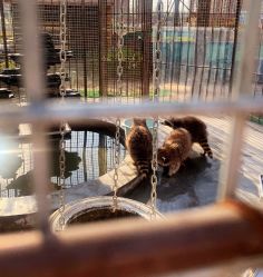 -萌宠亲子动物乐园(槐房万达店)