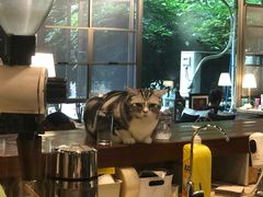 -咖法森林·咖啡  酒吧(天河店)