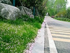 -云幽谷旅游区